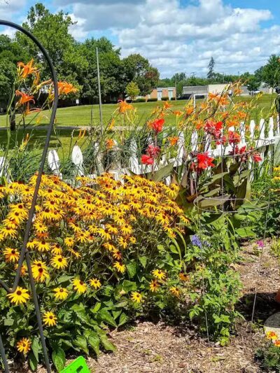 Parkland Park - Clawson,