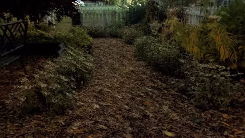 Parkland Park - Clawson,