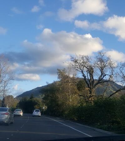 Clayton Dog Park - Clayton, CA