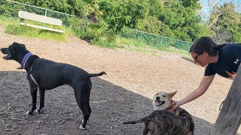 Clayton Dog Park - Clayton, CA