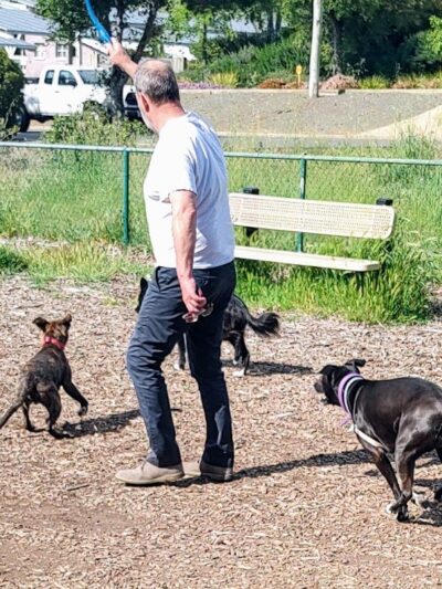 Clayton Dog Park - Clayton, CA