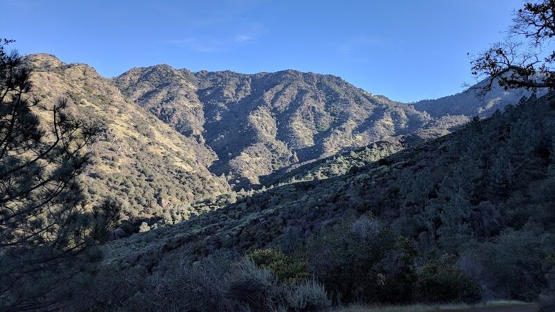 Clayton Dog Park - Clayton, CA