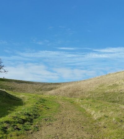 Clayton Dog Park - Clayton, CA