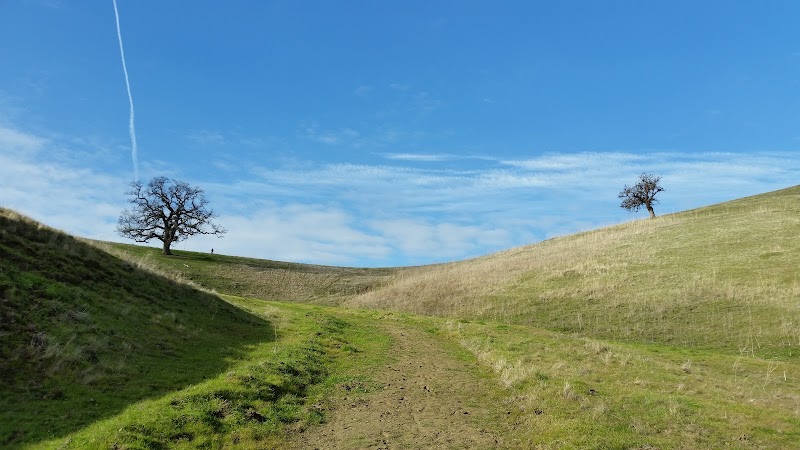 Clayton Dog Park - Clayton, CA