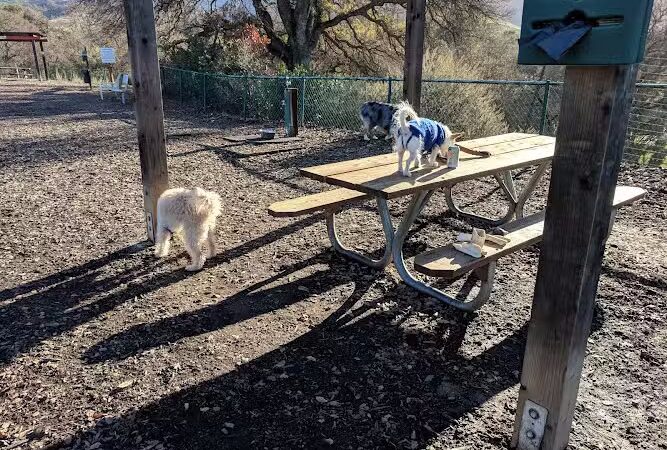 Clayton Dog Park - Clayton, CA
