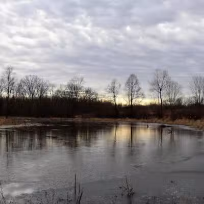 Ramsdell Park - Clayton,