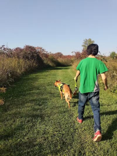 Ramsdell Park - Clayton,