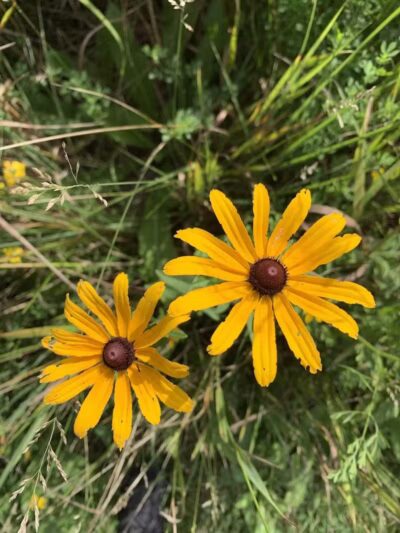 Ramsdell Park - Clayton,