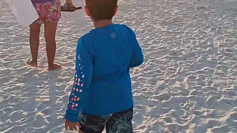 Crest Lake Dog Park - Clearwater, FL