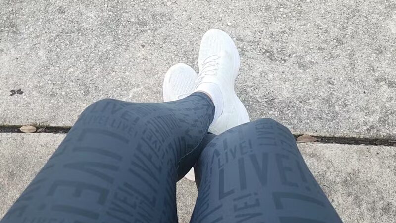 Crest Lake Dog Park - Clearwater, FL