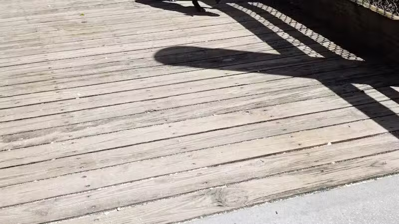 Enterprise Dog Park - Clearwater, FL