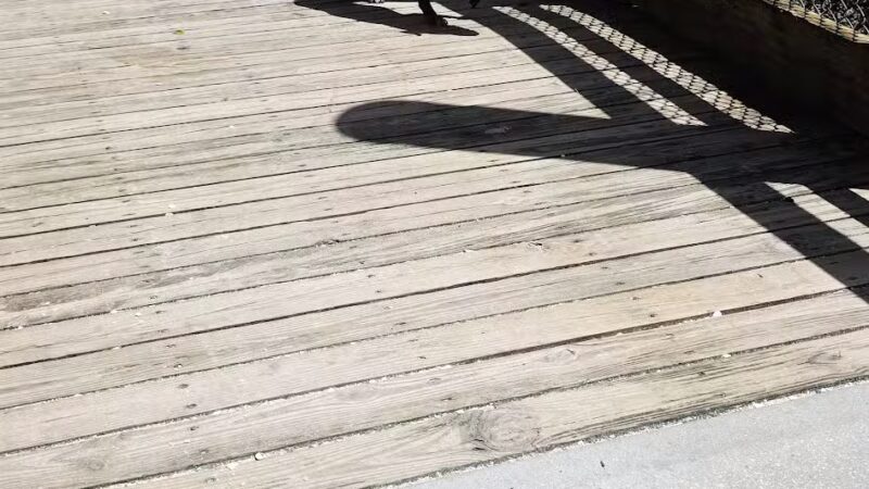 Enterprise Dog Park - Clearwater, FL