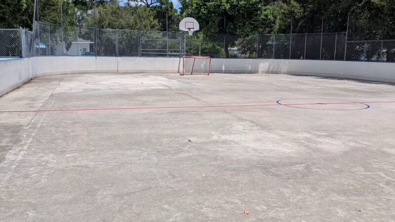 Northeast Park & Paw Place - Clearwater, FL