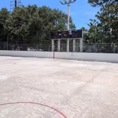 Northeast Park & Paw Place - Clearwater, FL
