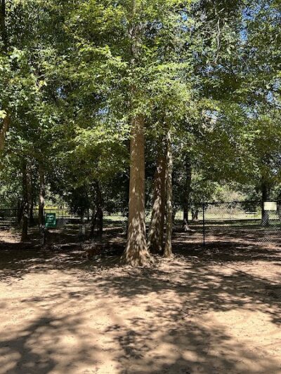 Nettles Dog Park - Clemson, SC