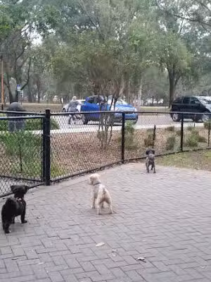 Clermont Dog Park - Clermont, FL