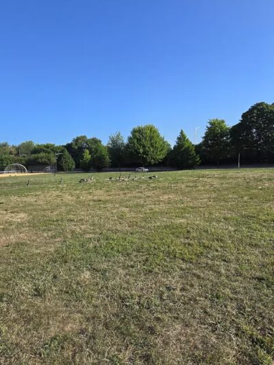 Nash Park - Clifton, NJ