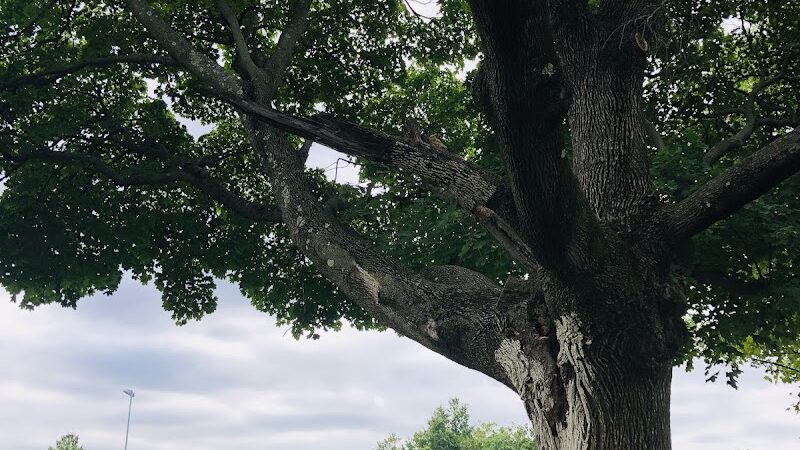 Nash Park - Clifton, NJ