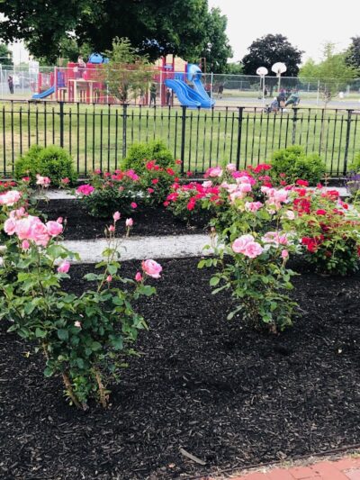 Nash Park - Clifton, NJ