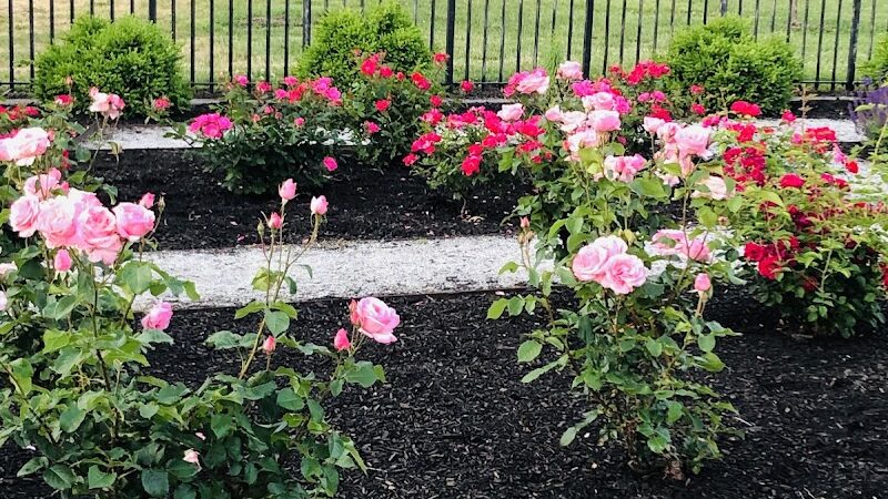 Nash Park - Clifton, NJ