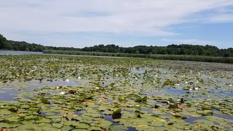Cold Brook County Park - Climax,