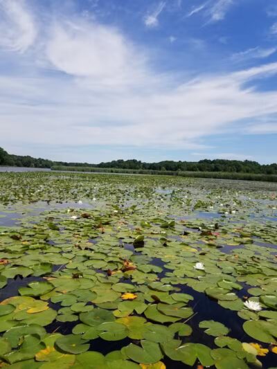 Cold Brook County Park - Climax,
