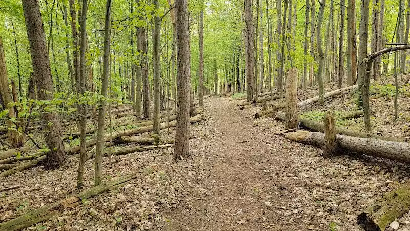Cold Brook County Park - Climax,