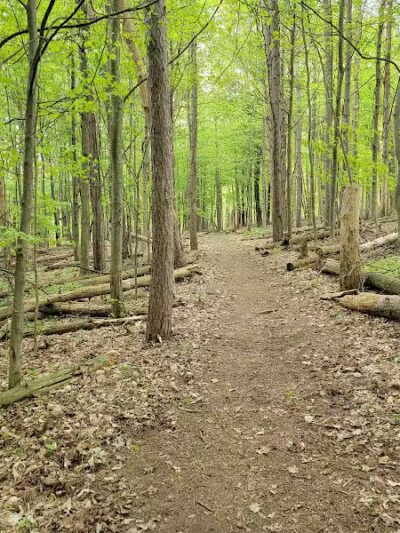 Cold Brook County Park - Climax,
