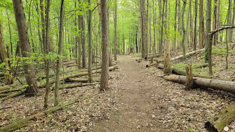 Cold Brook County Park - Climax,
