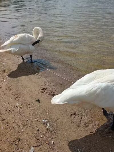 Cold Brook County Park - Climax,