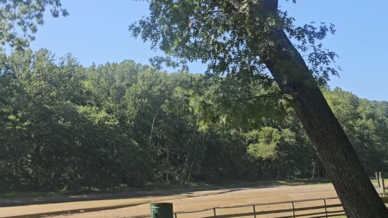 Cosca Regional Park Play Area - Clinton, MD