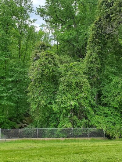 Cosca Regional Park Play Area - Clinton, MD