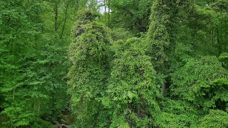 Cosca Regional Park Play Area - Clinton, MD