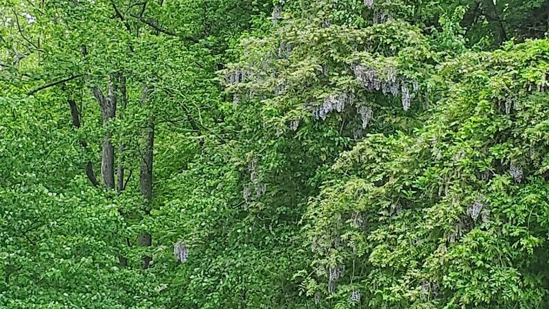 Cosca Regional Park Play Area - Clinton, MD