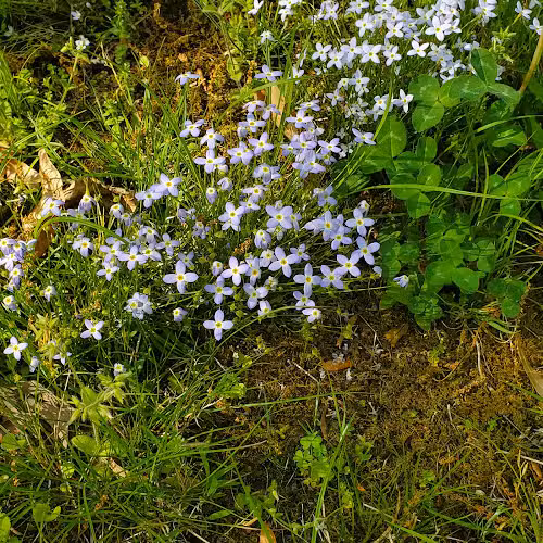 Rodgers Park - Clinton, MD