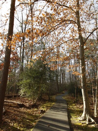 Tanglewood Community Park - Clinton, MD