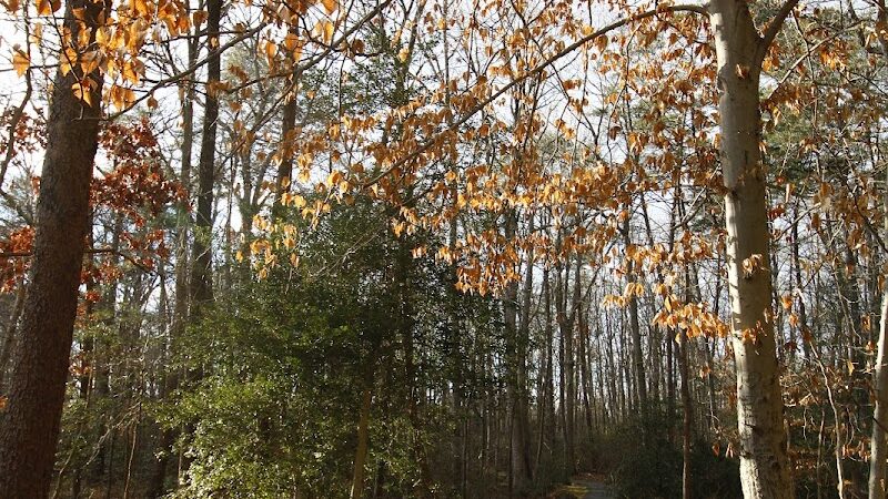 Tanglewood Community Park - Clinton, MD