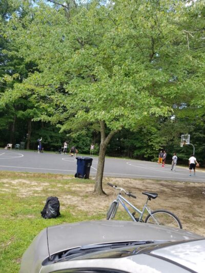 Tanglewood Community Park - Clinton, MD