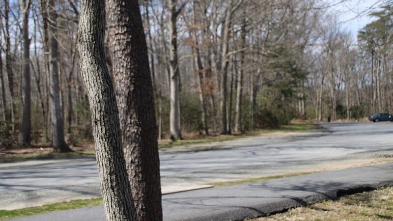 Tanglewood Community Park - Clinton, MD