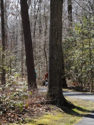 Tanglewood Community Park - Clinton, MD