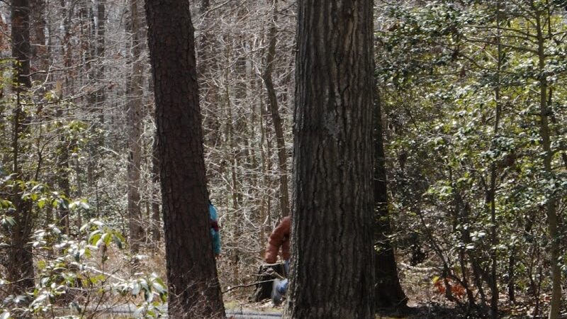 Tanglewood Community Park - Clinton, MD