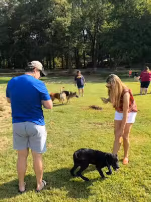 Clinton Bark Park - Clinton Parks and Recreation - Clinton, MS