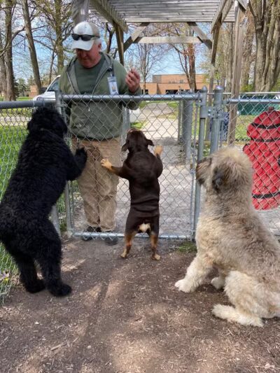 Civic Center Park-Dog Park - Clinton Township,