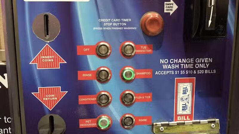 Buddys Dog Wash - Clio, MI