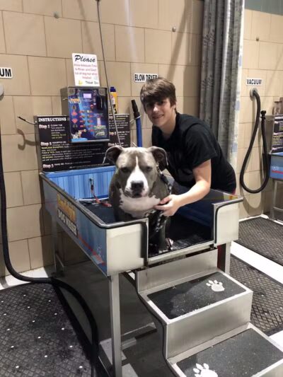 Buddys Dog Wash - Clio, MI