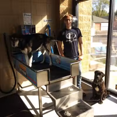 Buddys Dog Wash - Clio, MI