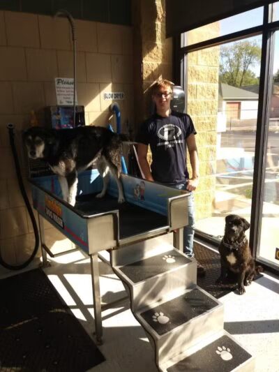 Buddys Dog Wash - Clio, MI