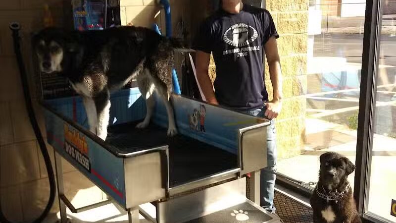 Buddys Dog Wash - Clio, MI