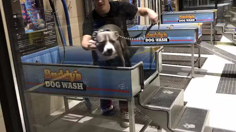 Buddys Dog Wash - Clio, MI