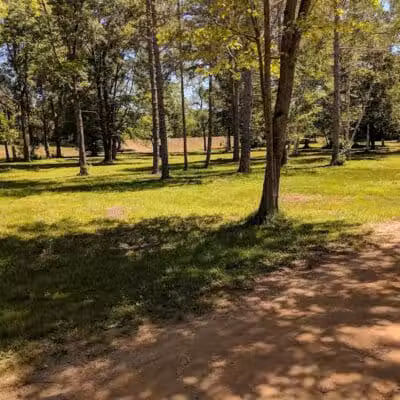 Buell Lake County Park - Clio, MI